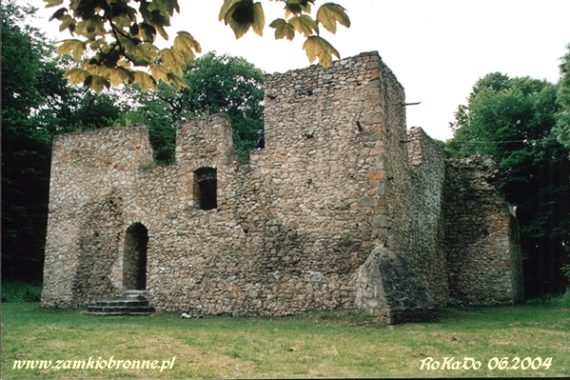 Zamek w Bąkowej G&oacute;rze