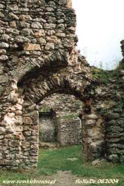 Zamek w Bąkowej Górze