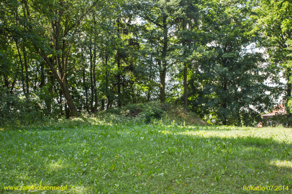 Relikty zamku w Bartoszycach