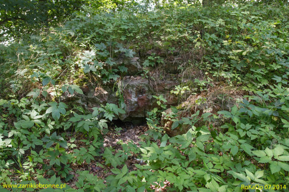 Relikty zamku w Bartoszycach