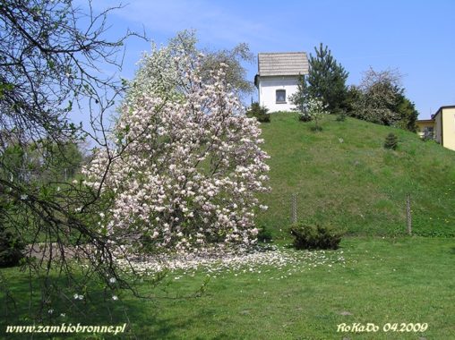 Kopiec zamkowy w Bieruniu Starym
