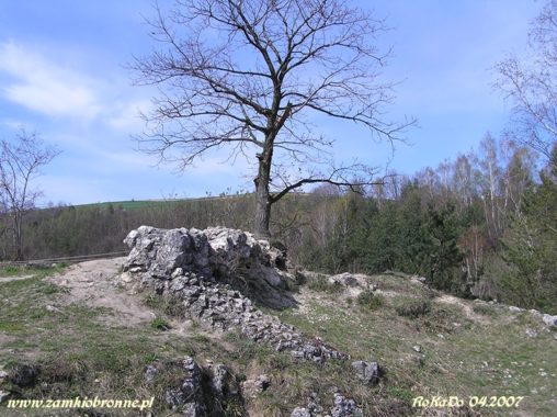 Ruiny zamku w Białym Kościele