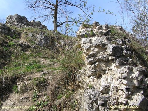 Ruiny zamku w Białym Kościele