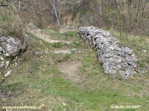 Ruiny zamku w Białym Kościele