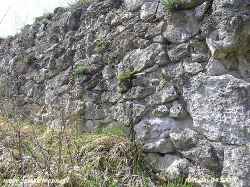 Ruiny zamku w Białym Kościele