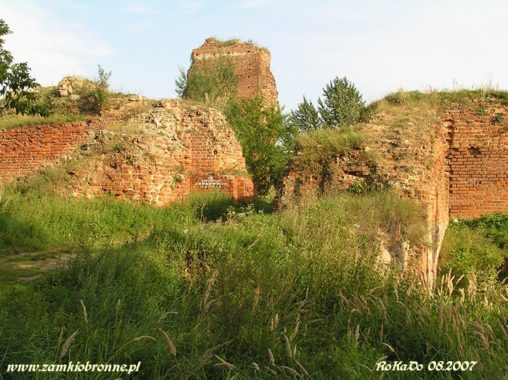 Zamek w Bobrownikach