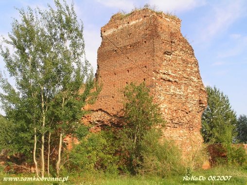 Zamek w Bobrownikach