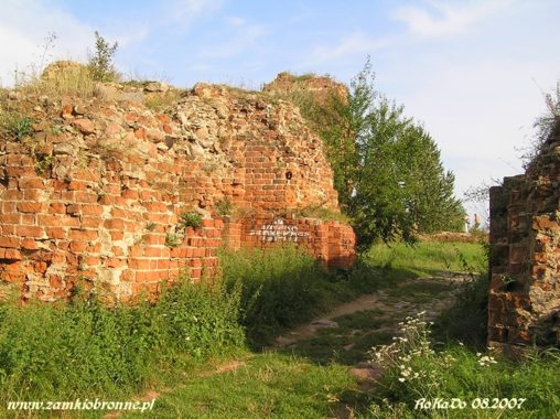 Zamek w Bobrownikach