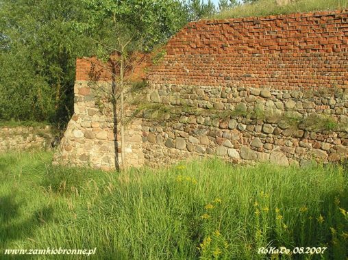 Zamek w Bobrownikach