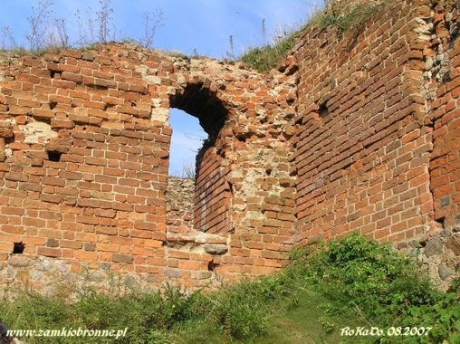 Zamek w Bobrownikach