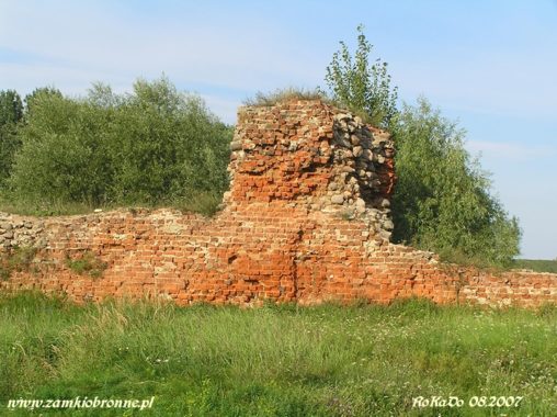 Zamek w Bobrownikach