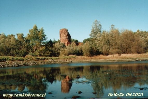 Zamek w Bobrownikach