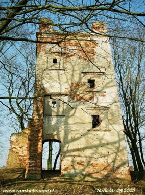 Ruiny zamku w Broku