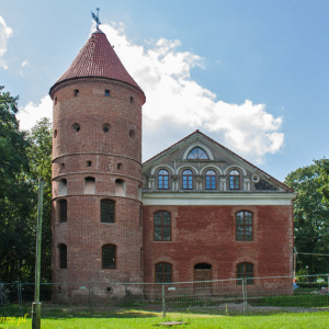 Zamek Czerwony Dwór w Raudondvaris