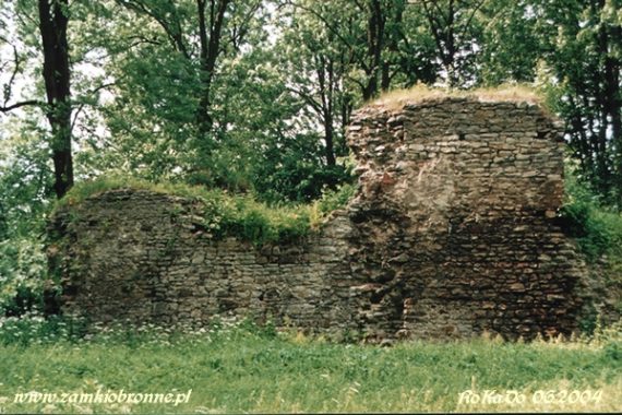 Ruiny zamku w Fałkowie