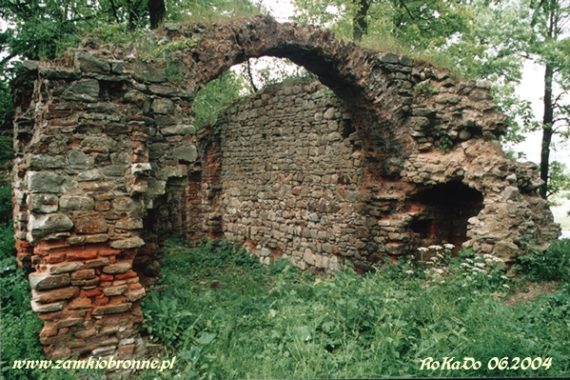 Ruiny zamku w Fałkowie