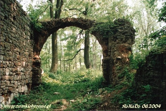Ruiny zamku w Fałkowie