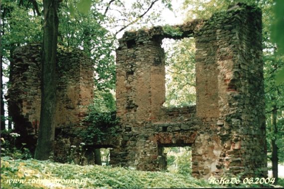 Ruiny zamku w Fałkowie