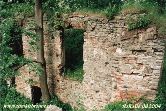 Ruiny zamku w Fałkowie