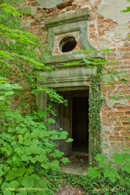 Ruiny zamku w Jędrzychowie