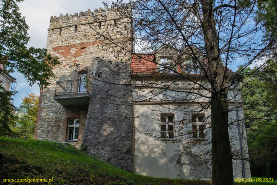 Zamek w Kamieńcu Mysia wieża