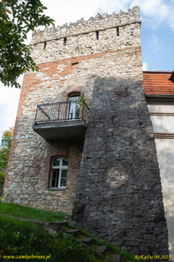 Zamek w Kamieńcu Mysia wieża