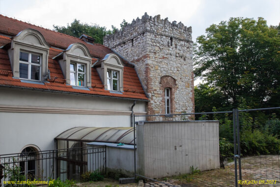 Zamek w Kamieńcu Mysia wieża