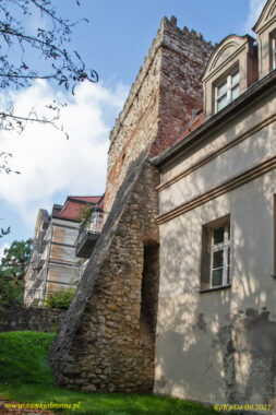 Zamek w Kamieńcu Mysia wieża