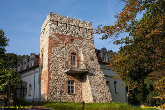 Zamek w Kamieńcu Mysia wieża
