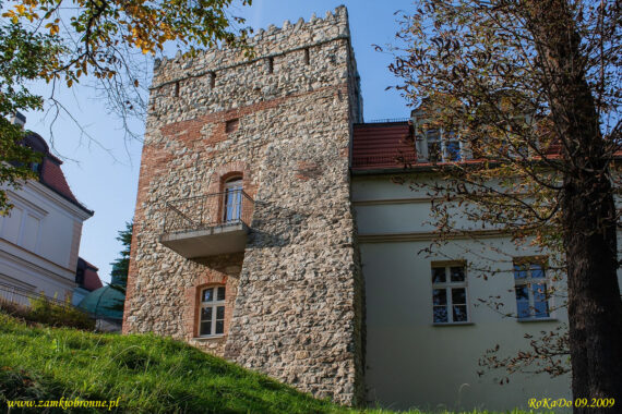 Zamek w Kamieńcu Mysia wieża