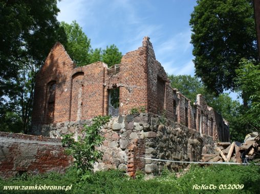 Ruiny zamku w Karlinie