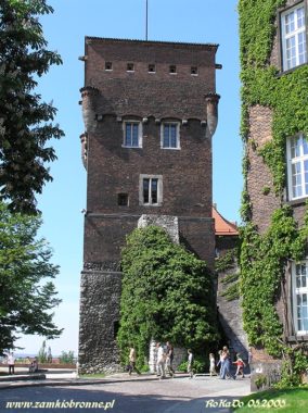 Zamek Królewski na Wawelu