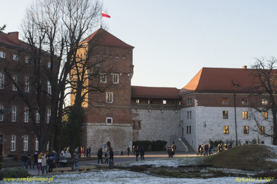 Zamek Kr&oacute;lewski na Wawelu