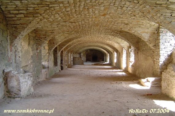 Zamek Krzyżtop&oacute;r w Ujeździe