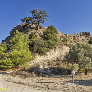 Zamek Lardos