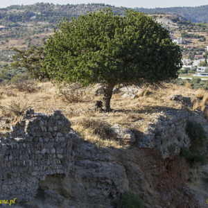 Zamek Lardos