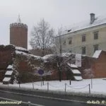 Zamek w Łęczycy