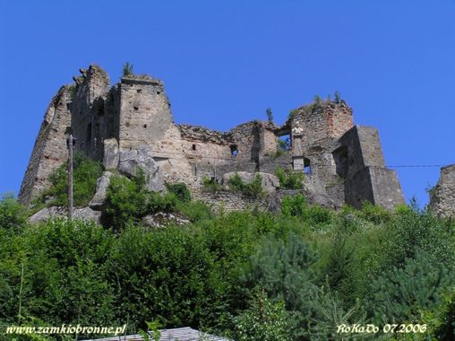 Zamek Kamieniec w Odrzykoniu