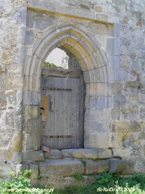 Zamek Kamieniec w Odrzykoniu