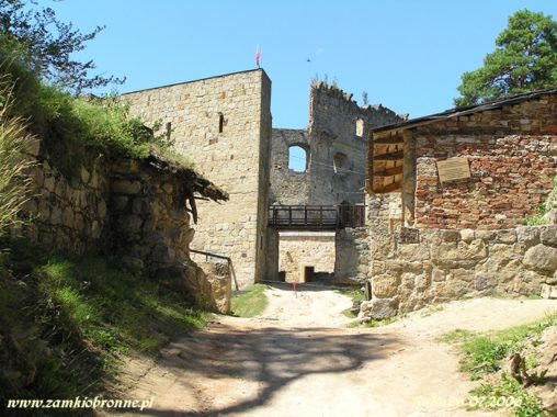 Zamek Kamieniec w Odrzykoniu