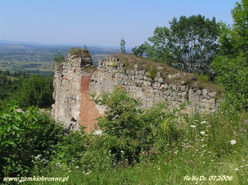 Zamek Kamieniec w Odrzykoniu