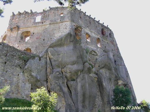 Zamek Kamieniec w Odrzykoniu