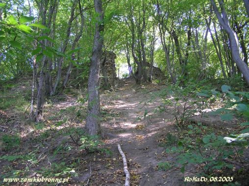 Ruiny zamku Szumsko w Rembowie