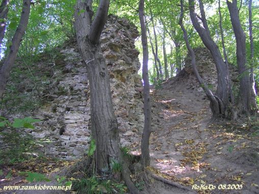 Ruiny zamku Szumsko w Rembowie