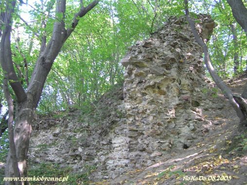 Ruiny zamku Szumsko w Rembowie