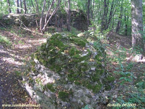 Ruiny zamku Szumsko w Rembowie