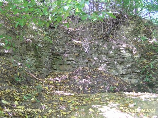 Ruiny zamku Szumsko w Rembowie