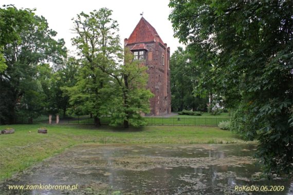 Zamek w Szamotułach