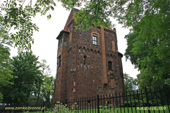 Zamek w Szamotułach