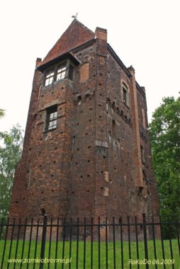 Zamek w Szamotułach